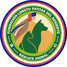 Patitas del Desierto